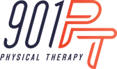 901PT primary current logo (1)